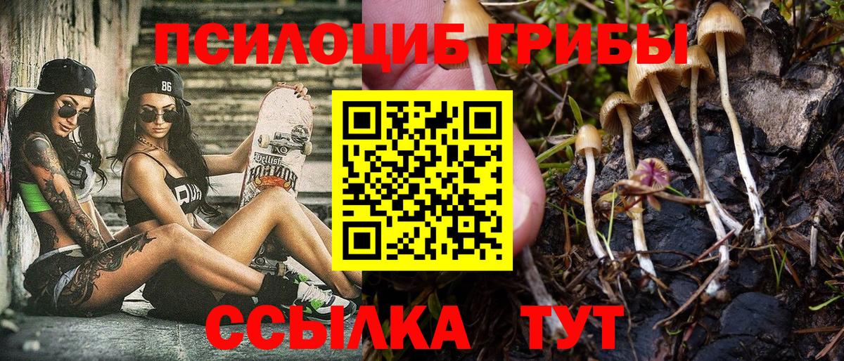 Псилоцибиновые грибы Magic Shrooms Балашиха