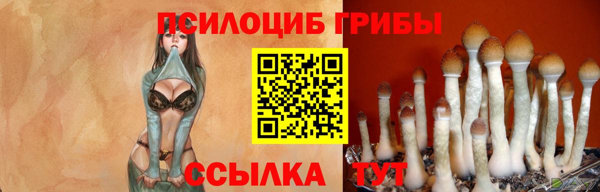 Балашиха  Галлюциногенные грибы Psilocybine cubensis  Вход с VPN  дарнет шоп  Псилоцибиновые грибы Magic Shrooms 
